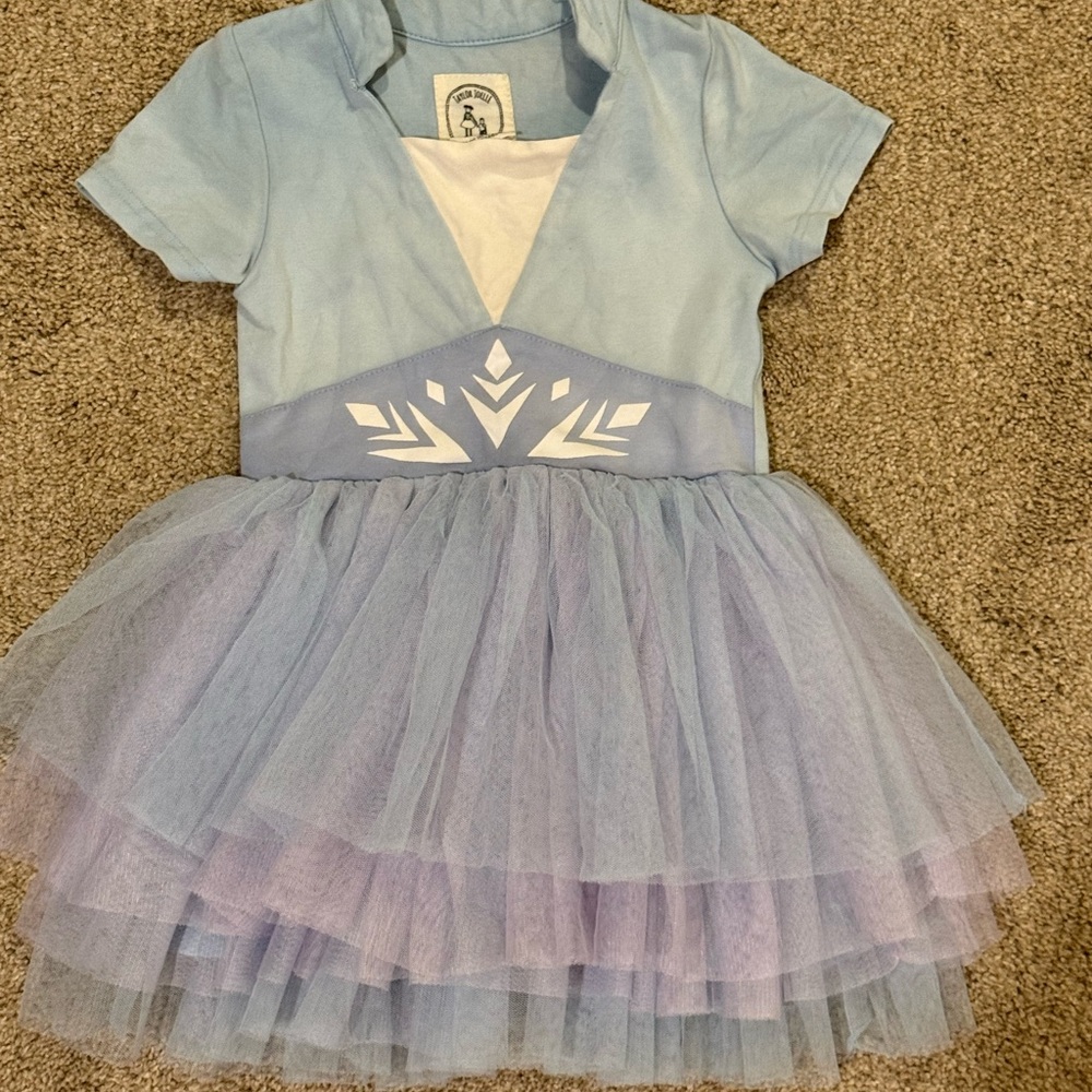 Taylor Joelle Elsa tutu dress